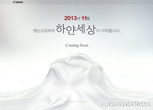 白纱面佳能新品(N)