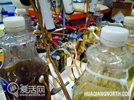 彻底解决充电问题 英科学家用尿液驱动机器人