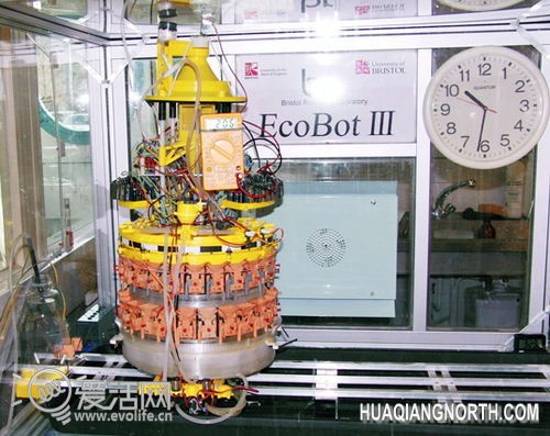 彻底解决充电问题 英科学家用尿液驱动机器人