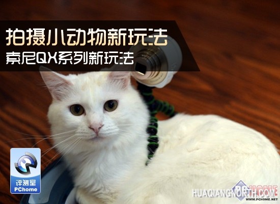 家庭萌宠另类拍摄 索尼QX系列新玩法