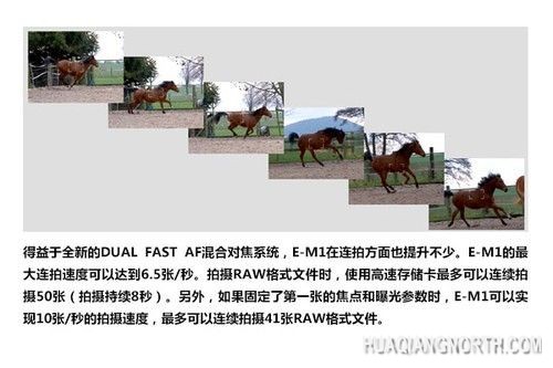 连拍性能介绍