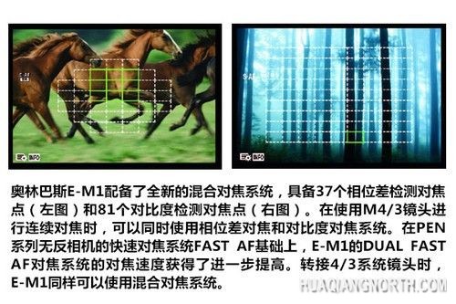混合对焦系统介绍