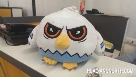 室内拍摄