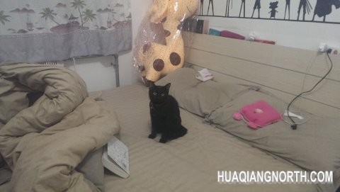 室内拍摄