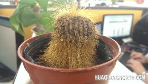 室内拍摄