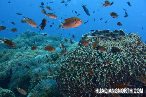 ▲光圈：F8 快门速度：1/60s 感光度：IS0-160 焦距：29mm