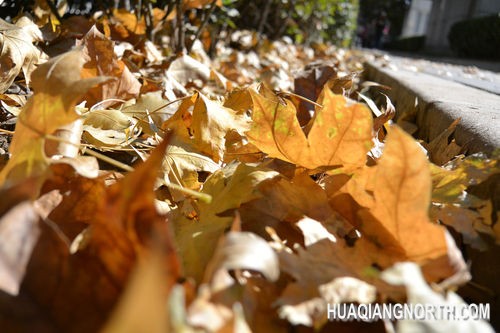 ▲光圈：F3.5 快门速度：1/1250s 感光度：IS0-160 焦距：29mm