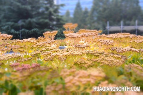 ▲光圈：F4 快门速度：1/320s 感光度：IS0-160 焦距：29mm