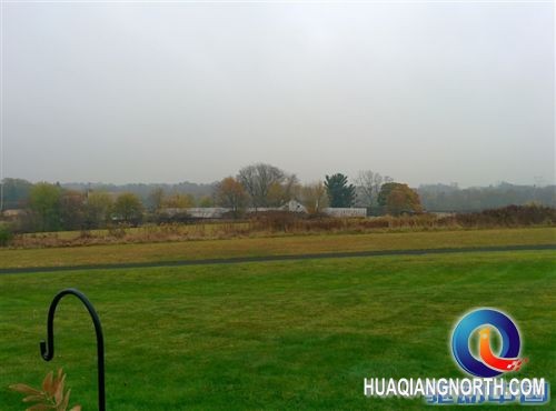 Nexus 5拍摄样张出炉：提升明显