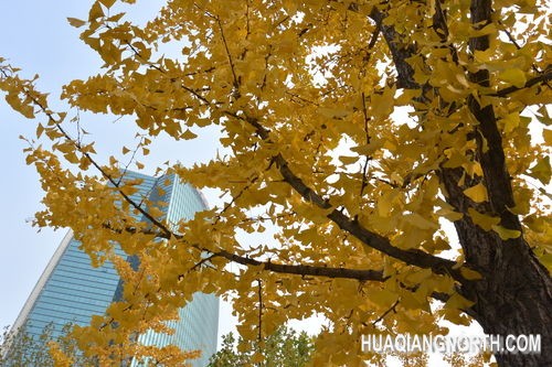 ▲尼康1 AW1色彩偏移测试结果