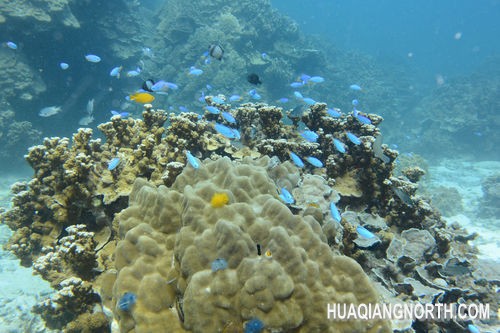 ▲光圈：F9 快门速度：1/60s 感光度：IS0-160 焦距：29mm