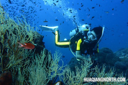 ▲光圈：F8 快门速度：1/60s 感光度：IS0-160 焦距：29mm