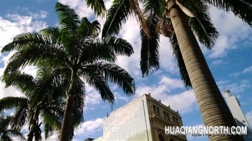 6寸旗舰锋芒初露：Lumia 1520拍照样张赏