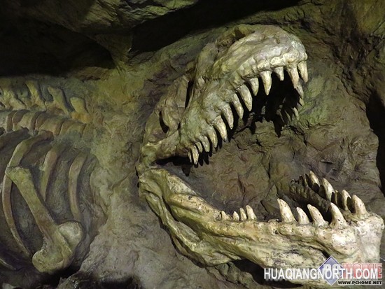 娱乐派专享 佳能SX275拍照视频均胜任