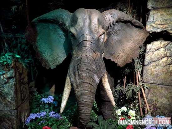 娱乐派专享 佳能SX275拍照视频均胜任