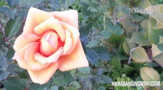 2014款三星Galaxy Note 10.1 评测