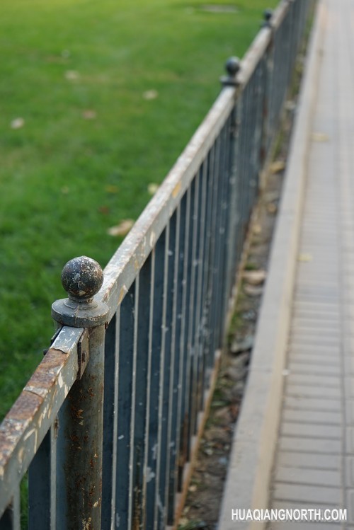焦距:70mm　 光圈:f/5.6　 ISO感光度:250　