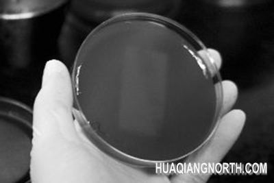 注重健康生活 朗界手机引领行业发展新方向 (2) 2-678