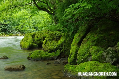 焦距:43mm　 光圈:f/11.0　 ISO感光度:100　
