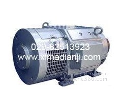 ZTP-21 1.3KW 115V 3300r并励 铁路机车用直流辅助电动机图1