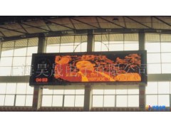 供应昊晟HS-TYG-LED体育馆LED显示屏LED体育馆体育显示屏图1