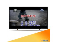 供应udor65寸KTV防爆电视 专业KTV防爆电视 高清KTV防爆电视 挂墙KTV防爆电视图1