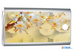 电暖两用热水器电热水器厂家生产60升超薄搪瓷内胆金属外壳安全省电智能节能洗澡速热式单暖热水器冬天不用电带防电墙50升图1