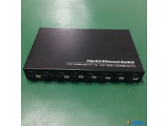 TSKYEE/天野 TY-CX09G-02Q-02QA 千兆光纤收发器 千兆百兆交替收发器9光2电 单模单纤 光纤收发器图1