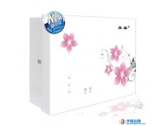 家用净水器 易善净水器YS-RO-A06,会加热的净水器 净水器品牌图1