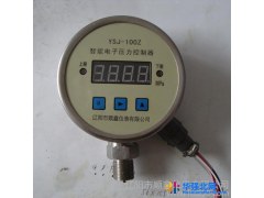 供应数字显示压力表YSJ-100图1