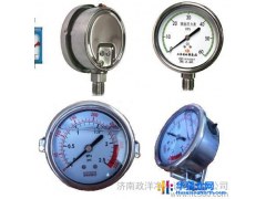 生产厂家 耐震压力表YLB-63 价格优惠 质量保证 终身维护o、/\\图1