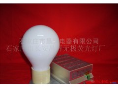昌辉特价促销高频85W工矿无极灯光源镇流器图1
