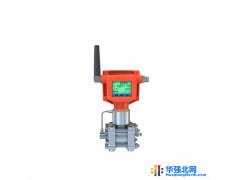 润仪厂家直销 无线多参数流量变送器 多参量流量变送器 一体化智能气体流量变送器 插入式气体流量变送器图1