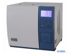 推荐上海传昊GC-6890专用硫磷分析仪图1