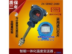 中信 ZXW-B防爆数字温度显示仪 温度传感器图1