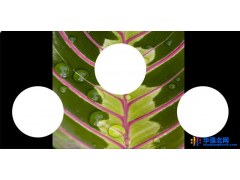 供应热销出口贸易炉具丝印玻璃图1