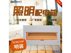 国控铁底家装15回路室内照明配电箱强电空气开关盒空开PZ30小型明图1