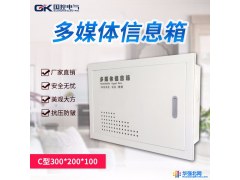 弱电配电箱家用多媒体信息箱集线箱光纤入户箱布线箱300*200*100C图1