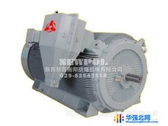 YBXn 4006-8 315KW YBXn系列高压高效率隔爆型电动机 南阳防爆图1
