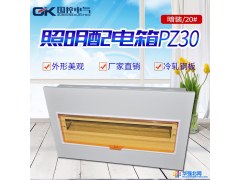铁底家装20回路室内照明箱配电箱强电箱空气开关盒空开pz30大型暗 PZ30大型图1