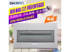 家用梅兰箱暗装照明配电箱PZ30 20位回路铁底塑面强电 空开接线盒图1