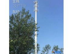 江苏通信塔厂家 专业生产三管塔 单管塔 仿生塔 通讯塔定制图1