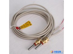 山东热量表海德瑞厂家 pt1000 热量表用配对温度传感器 铂电阻图1