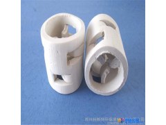 苏州科斯特 DN50 陶瓷鲍尔环 耐高温陶瓷环 耐强酸瓷环 耐腐蚀鲍尔环 耐高温陶瓷鲍尔环图1