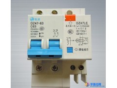 极浦电工断路器 2P 63A空开带漏电小型断路器家用保护器厂家直销图1