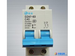 极浦电工 断路器 2P 40A空气开关 小型断路器家用保护器 厂家直销图1