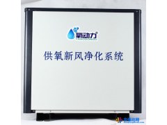 汇康 供氧设备桑拿房  酒吧浴场增氧设备大型供氧机新风净化供氧系统 型号SY-09-10L氧气机厂家图1