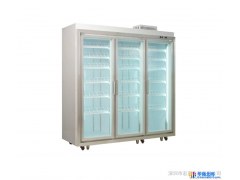 供应宏富宝LG－2100A3Y商用冷柜、超市冷柜、饮料展示柜、便利店展示柜图1