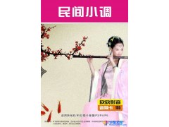 欣欣影音  型号155  音频卡---128升4G民间小调专辑音频内存卡图1