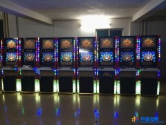 保靖县 款打鱼机大型游艺机报价单图1